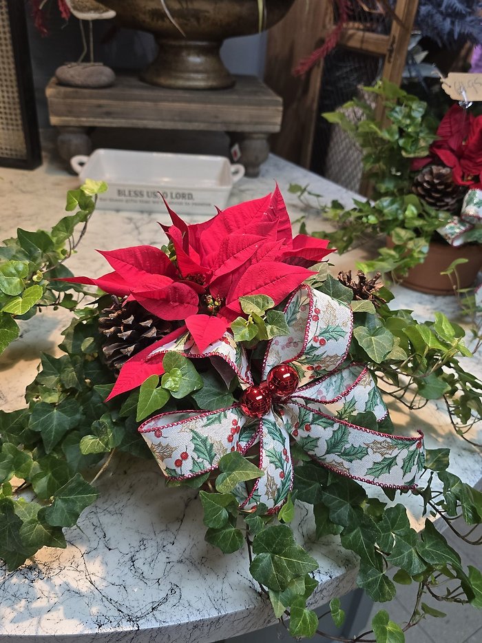 Poinsettia Planter