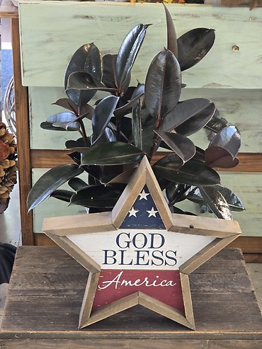 Patriotic plant