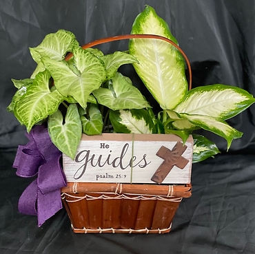 Green Plant basket with Plaque