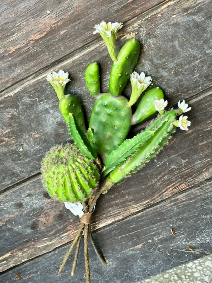 Cactus bunch