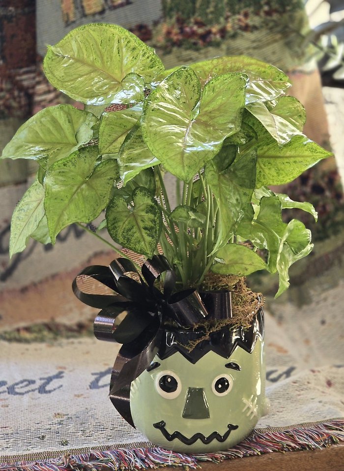 Frankenstein Planter
