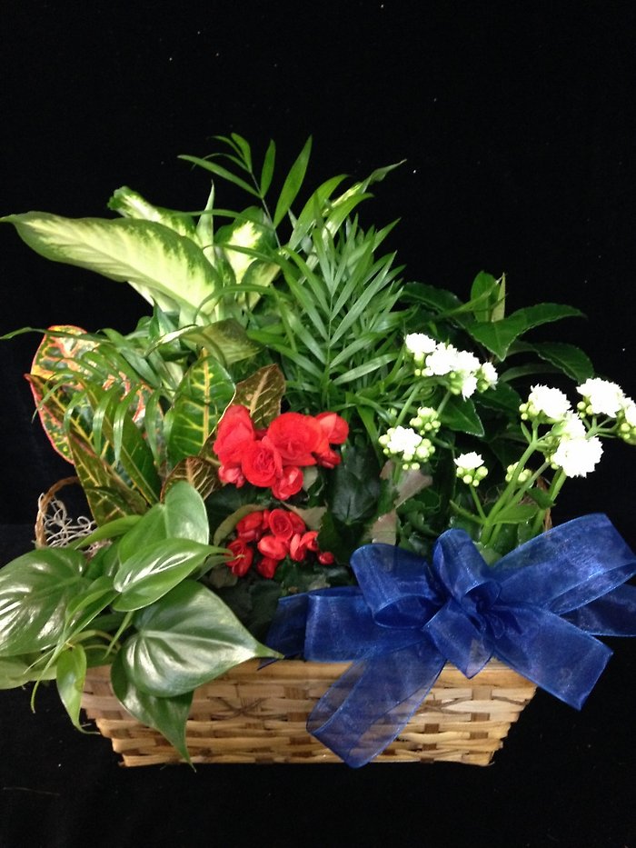 Old Glory Plant Basket