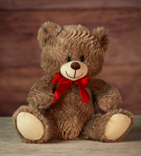 Rose Bear Plush