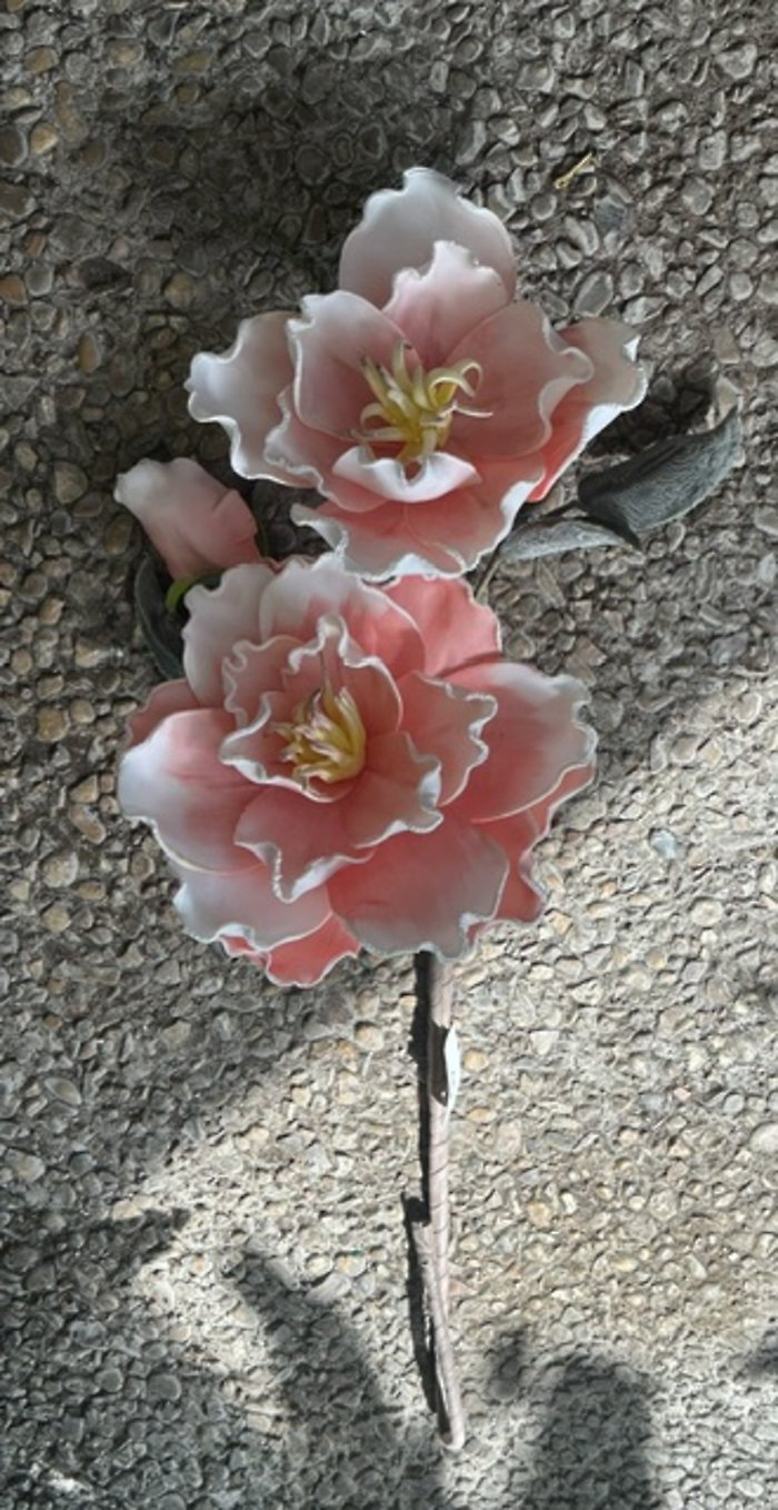 Coral Magnolia Stem