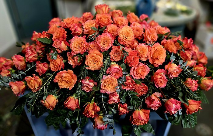 Roses of Love casket spray