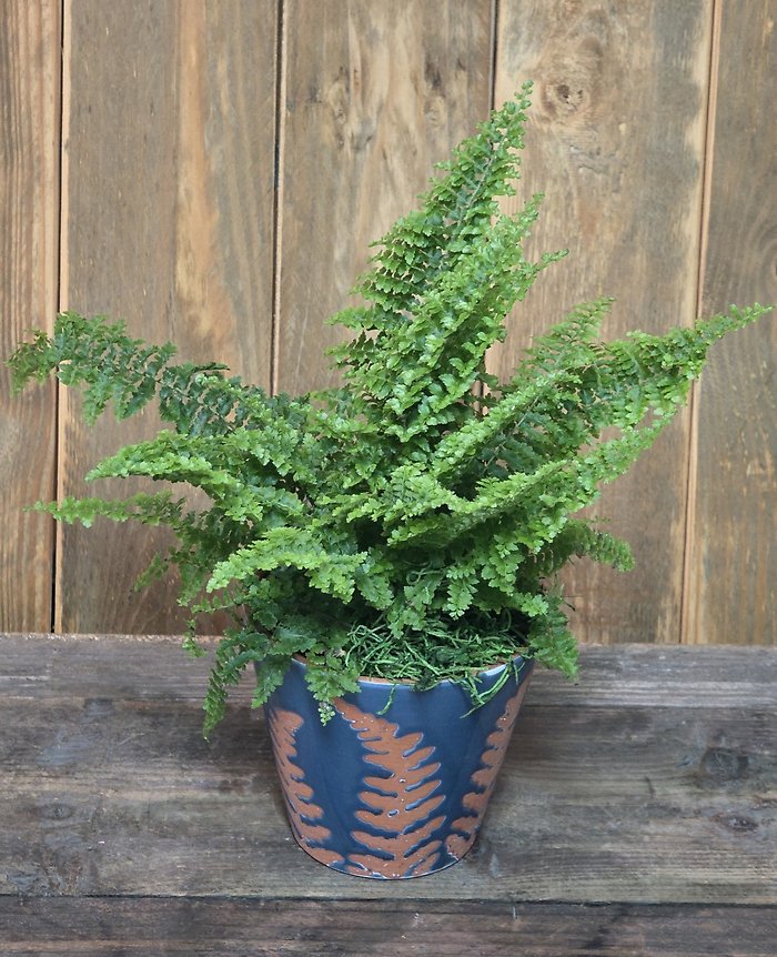 Table top foliage