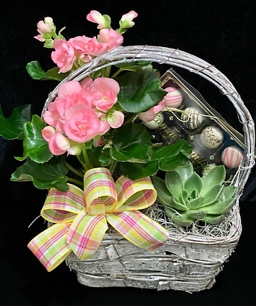 Sweet Surprises Plant Basket
