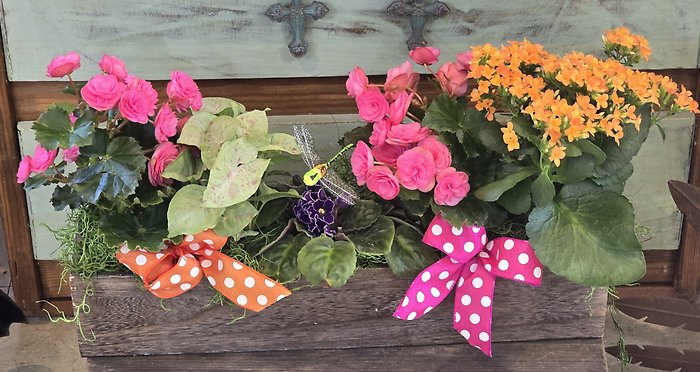 Blooming parade plant basket